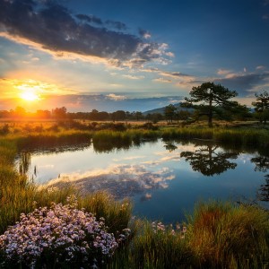 default playlist img