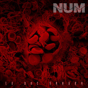 ดาวน์โหลดและฟังเพลง Antimaterial พร้อมเนื้อเพลงจาก Num