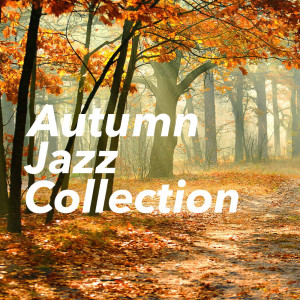 ดาวน์โหลดและฟังเพลง Because You're Mine พร้อมเนื้อเพลงจาก Al Martino