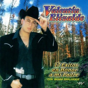 ดาวน์โหลดและฟังเพลง Los 500 Novillos พร้อมเนื้อเพลงจาก Valentin Elizalde