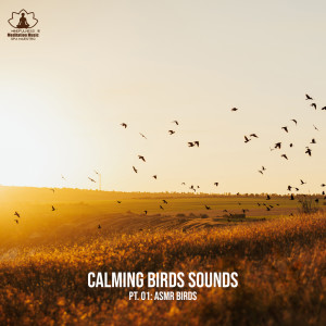 Calming Birds Sounds, Pt. 01 (ASMR Birds, Morning Chirping Birds, Nature ASMR, Birds and Crows in the Fields, Spa ASMR Singing Birds, Sleep with Birds)