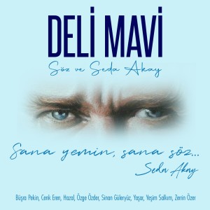 Zerrin Özer的专辑Deli Mavi (Söz ve Seda Akay)