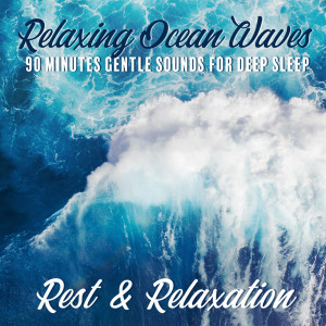 Dengarkan lagu Cayman Island Waves nyanyian Healing Ocean Waves Zone dengan lirik