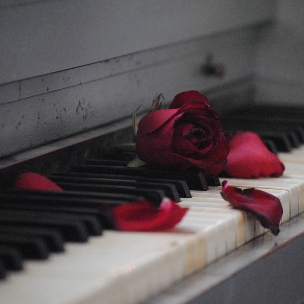 The Piano