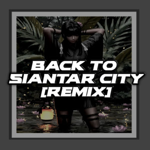 Bayu LMK的专辑BACK TO SIANTAR CITY (Remix)