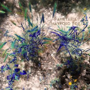 Listen to Parietaria (feat. Kero) song with lyrics from Mayford Fox