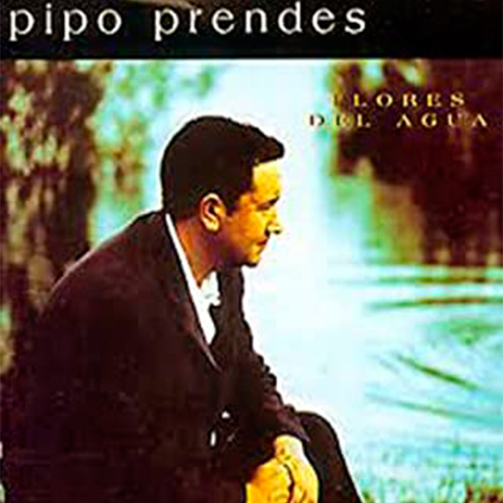 Volvio una Noche