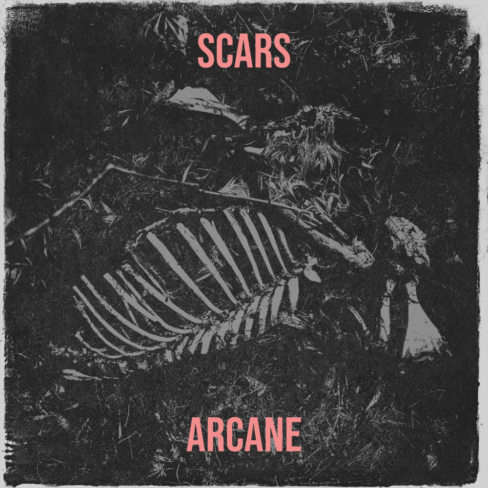 Scars (Explicit)