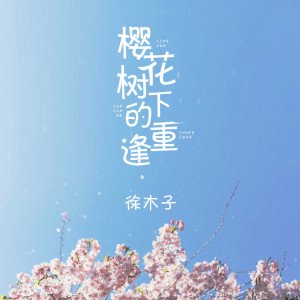 收听徐环的樱花树下的重逢 (抖音版)歌词歌曲