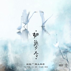 Album 如梦令 from 彭钧