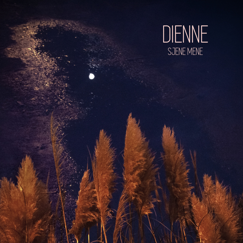 Tvoje Lice (feat. Matija Dedic) (Bonus Track)