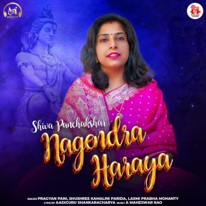Listen to Nagendra Haraya song with lyrics from Pragyan Pani