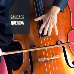Album Saudade Querida from Wilson Miranda