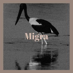 ดาวน์โหลดและฟังเพลง Migra พร้อมเนื้อเพลงจาก Daan Gand