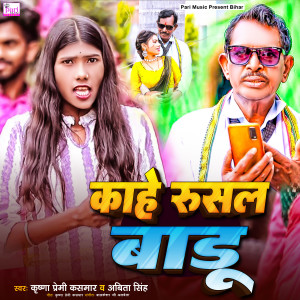 Listen to Kahe Rusal Badu song with lyrics from Krishna Premi Kasmar