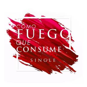 Listen to Como Fuego Que Consume(feat. Disney López) song with lyrics from CMM Music