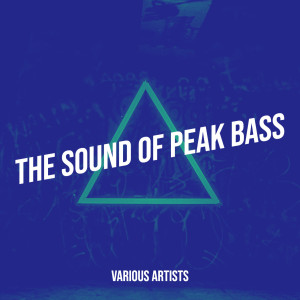 Album The Sound of Peak Bass (Explicit) from Various