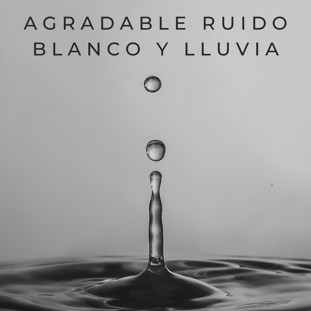 Tranquilidad En El Sonido Y La Lluvia