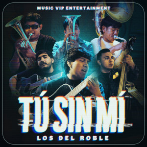 Listen to Tú Sin Mí song with lyrics from Los del roble