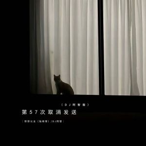 收聽菲菲公主的第57次取消發送 (DJ阿智版)歌詞歌曲