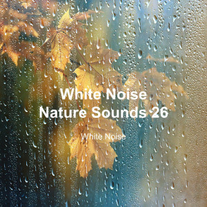 White Noise的专辑White Noise 26 (Rain Sounds, Bonfire Sound, Baby Sleep, Deep Sleep)