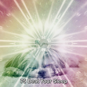 Baby Sleep Through the Night的專輯75 Beat Your Sleep