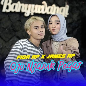 Listen to Ojo Njaluk Pegat song with lyrics from Fida AP