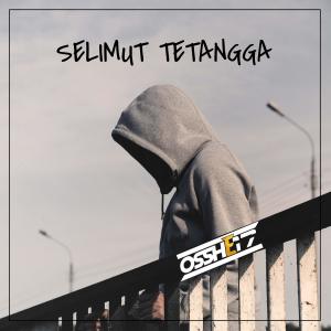 Republik的专辑Selimut Tetangga (OSSHE 17 Remix)