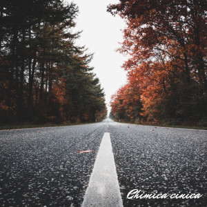Album Chimica cinica oleh Tempo