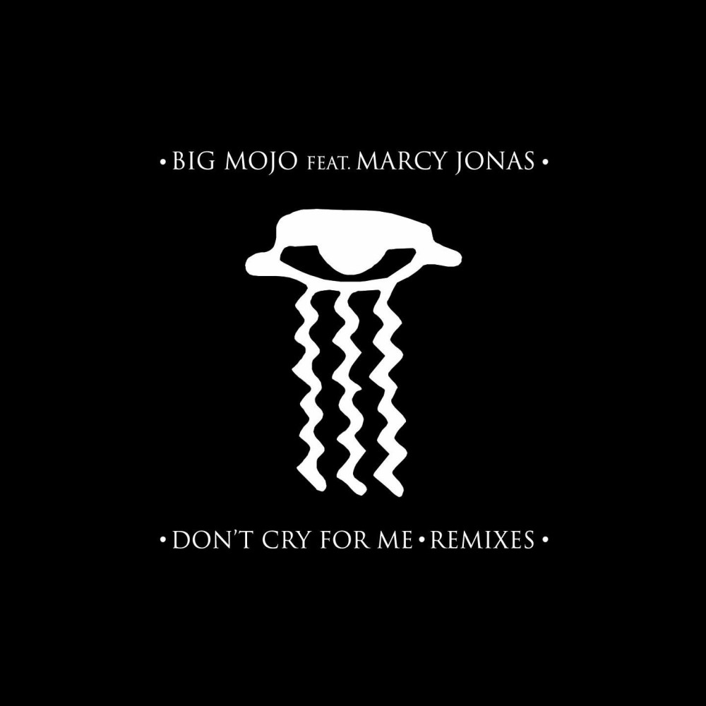 Don't Cry for Me (Mephia Remix)