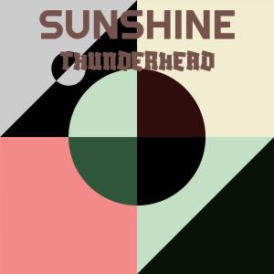 Various Artists的專輯Sunshine Thunderhead