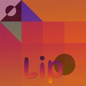 Listen to Opened Brisk song with lyrics from Dalis Nars