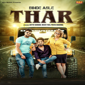 Listen to Binde Aale Thar song with lyrics from Vipin Mehandipuria