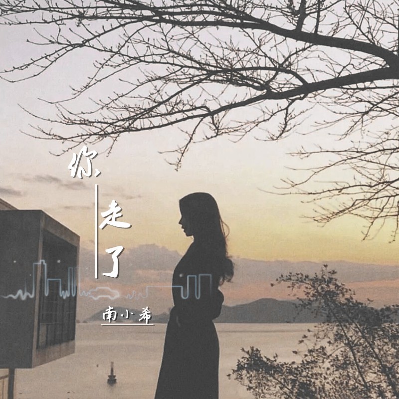 你走了（0.8） (Remix)