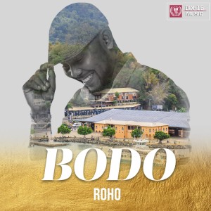 Listen to Mayotte en souffrance song with lyrics from Bodo