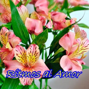 收聽Perez Y Perez的Tu Recuerdo歌詞歌曲