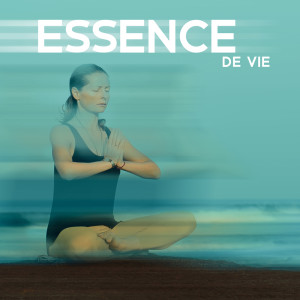 收听Zen Méditation Ambiance的Chant de méditation歌词歌曲