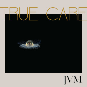 ดาวน์โหลดและฟังเพลง Bears พร้อมเนื้อเพลงจาก James Vincent McMorrow