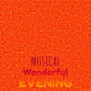 Album Musical Wonderful Evening from Various