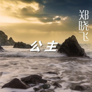 อัลบัม 公主 ศิลปิน 郑晓飞