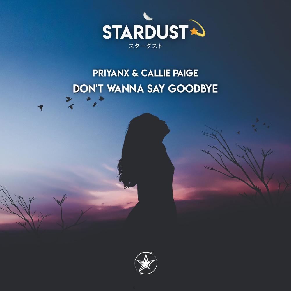 Don't Wanna Say Goodbye