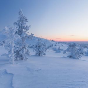 Listen to Deep Sleep Garden song with lyrics from Alpha Brain Waves