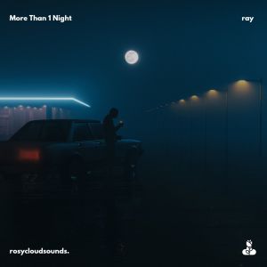 Album More Than 1 Night oleh RAY