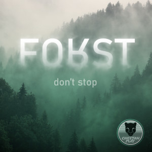 Listen to Don't Stop song with lyrics from Forst