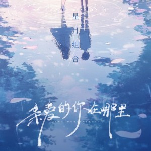 Album 亲爱的你在哪里 from 星月组合