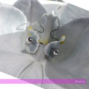 Album Anora (Explicit) from 9mice
