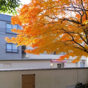 ดาวน์โหลดและฟังเพลง Zamba de Juan Panadero พร้อมเนื้อเพลงจาก Francisco Sicilia