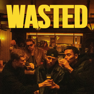 Listen to Wasted song with lyrics from Fokke Simons