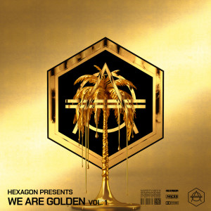 Album HEXAGON presents: We Are Golden: Vol. 1 oleh Various