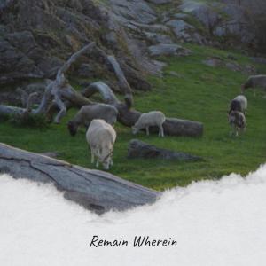Album Remain Wherein from Abrao Gand